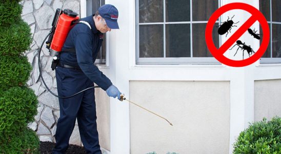 Silivri Karınca İlaçlama böcek ilaçlama ve haşere kontrolü — ilaclama-tr.com
